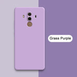 Grass Purple